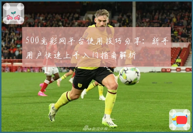 500竞彩网平台使用技巧分享:新手用户快速上手入门指南解析