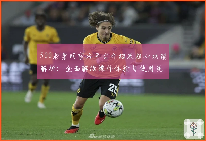 500彩票网官方平台介绍及核心功能解析：全面解读操作体验与使用亮点